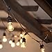 String Light Company Vintage 48-Ft Outdoor Commercial String Lights with 15 Suspended Sockets and 15 Clear S14 Bulbs, 14 Gauge Black Cord