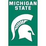 Michigan State Spartans NCAA Applique Banner Flag (44x28)