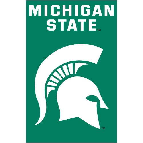 Michigan State Spartans NCAA Applique Banner Flag (44x28)