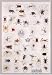 Arachnids Poster(#37) Image