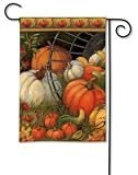 Pumpkin Garden