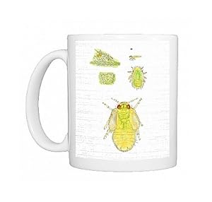 Jumping plant louse nymph Photo Mug