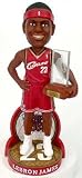 LEBRON JAMES #23 ROOKIE OF THE YEAR (ROY) BOBBLEHEAD WITH TROPHY RARE ITEM #ED Amazon.com