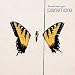 Brand New Eyes