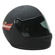 Dale Earnhardt Jr. #8 Nascar Replica Mini Helmet