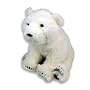 Polar Bear Alive