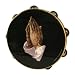 Remo Tambourine, 10