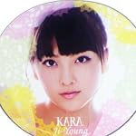 ポリうちわ KARA ジヨン