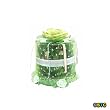 Apple Scented Potpourri in Decorative Glass Holder (STC50219) ~ Great Gift Idea!