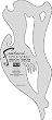 Artool Freehand 10 - The Pin-Up Shield Airbrush Template by Edward Reed