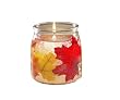Langley Fall Leaves 16 ounce Gel Candle
