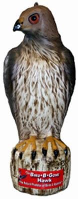 Bird B Gone MMRTH1 Bird-B-Gone Decoy Hawk