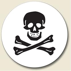 Skull and Crossbones Auto Coaster - Single Coaster for Your Car