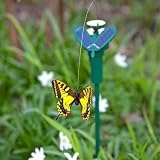 Amazing Solar Powered Fluttering Butterfly
