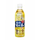 伊藤園　韃靼そば茶　500ml　×　24本　ペットボトル