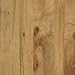Amtico Elm 4 ? x 36 Elm Vinyl Flooring