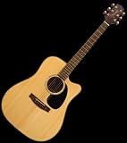 NEW TAKAMINE G SERIES ACOUSTIC GUITAR