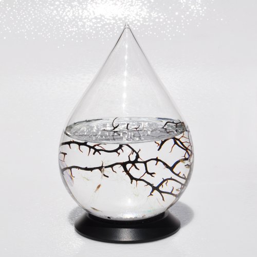 EcoSphere Closed Aquatic Ecosystem, Large Water 