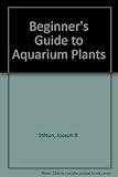 Beginner's guide to aquarium plants & decoration