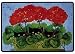   - Geranium Gaze Black Cats Kittens Doormat Rug Mat