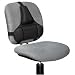 Office Products : Professional Series Back Support, Memory Foam Cushion, Black