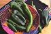 Chile Peppers Southwestern Trio Seeds 40 Seeds