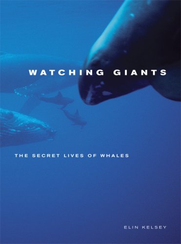 Watching Giants: The Secret Lives of Whales under General in The Books Store
