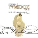 Search : Estudando o Pagode