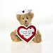 Boyds Bears Nurse Sentiment Bear 8 Inch
