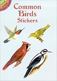 Common Birds Stickers (Dover Little Activity Books Stickers) by Jan Sovak [Paperback(2001/12/5)]