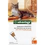 Bayer - Advantage 40 pour chat de moins de 4 kg Co&hellip de Advantage