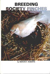 Finches