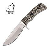 Timber Wolf Explorer Bowie Survival Knife