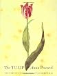 (The) Tulip