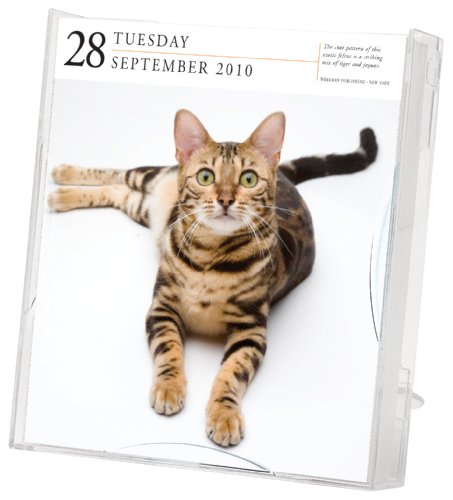 Cat Gallery 2010 Calendar (Page-A-Day Gallery Calendars)