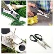 Silvermark  Herb Snips, Gray