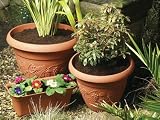 Review B.Line  / B.Line H232 Vineyard Planter Terracotta 38cm