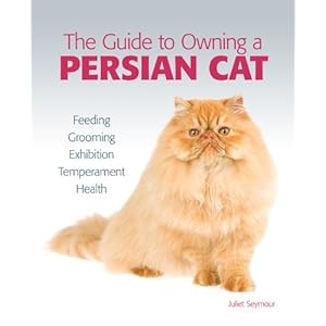 Guide to Owning a Persian Cat