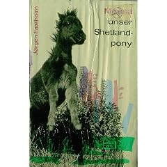 Mousa, unser Shetlandpony