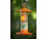 Bird Brain Vintage Bird Feeder Mexican Sunflower