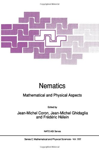 Nematics: Mathematical and Physical Aspects (Nato Science Series C:)