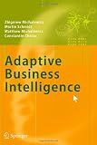 Adaptive Business Intelligence