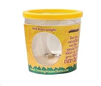 Caterpillar Refill Voucher for Butterfly Garden Set