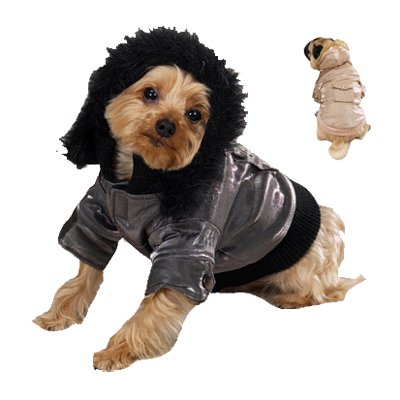 GOLD K9 Tahoe Jacket GOLD - MEDIUM - K9 Tahoe Jacket