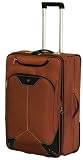Wenger Swiss Army Andes Collection 26 Luggage Upright