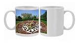 Floral clock, Vienna, Austria, Europe Photo Mugs