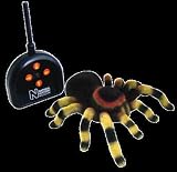 National History Museum Radio Control Tarantula - Latest Gift for 2008