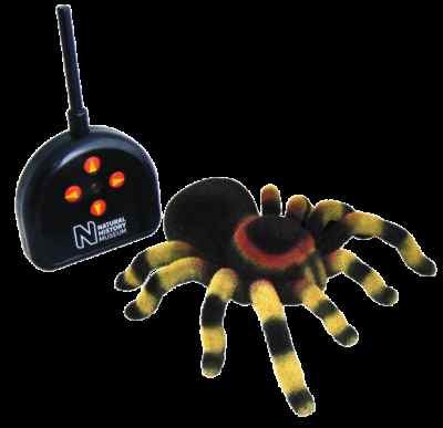 Childrens Toyshop  Toys : National History Museum Remote Control Tarantula