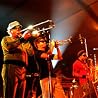 Image of Fat Freddy's Drop