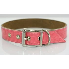 Scrappy Pets Recycled Leather Dog Collar 